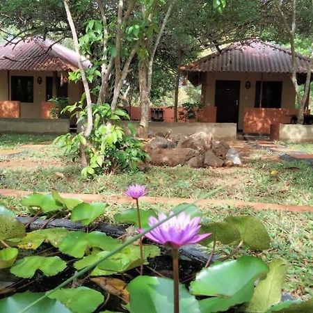 Hotel Niyagala Lodge Sigiriya Bagian luar foto