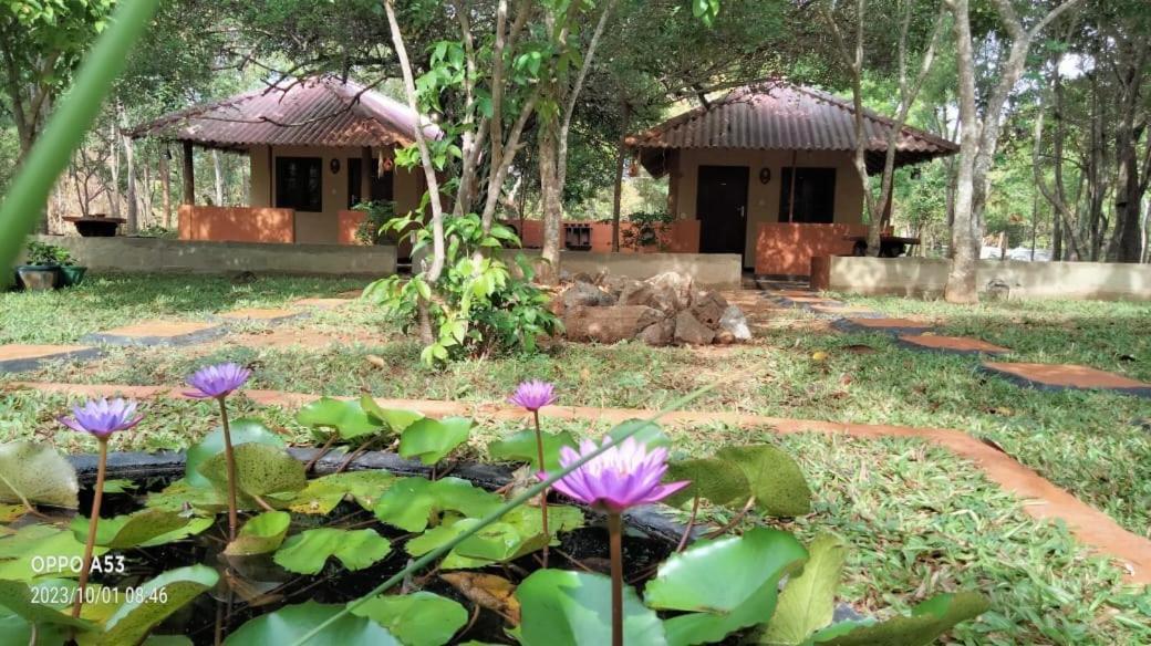 Hotel Niyagala Lodge Sigiriya Bagian luar foto