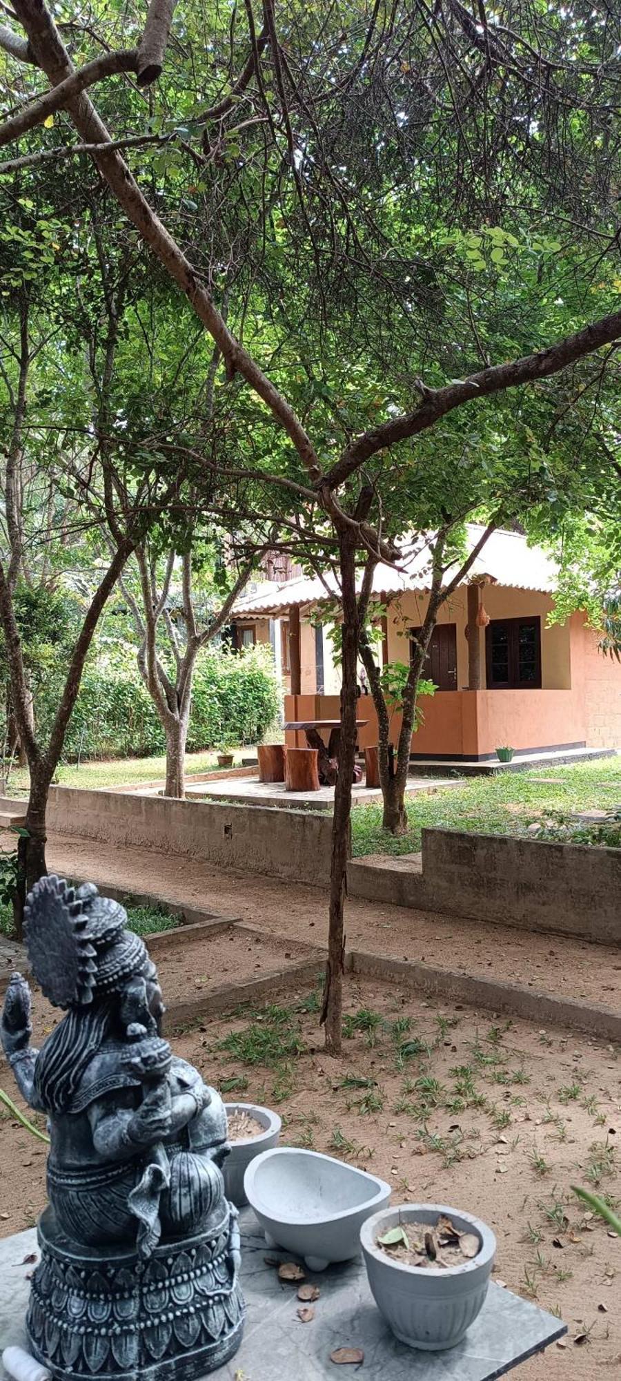 Hotel Niyagala Lodge Sigiriya Bagian luar foto