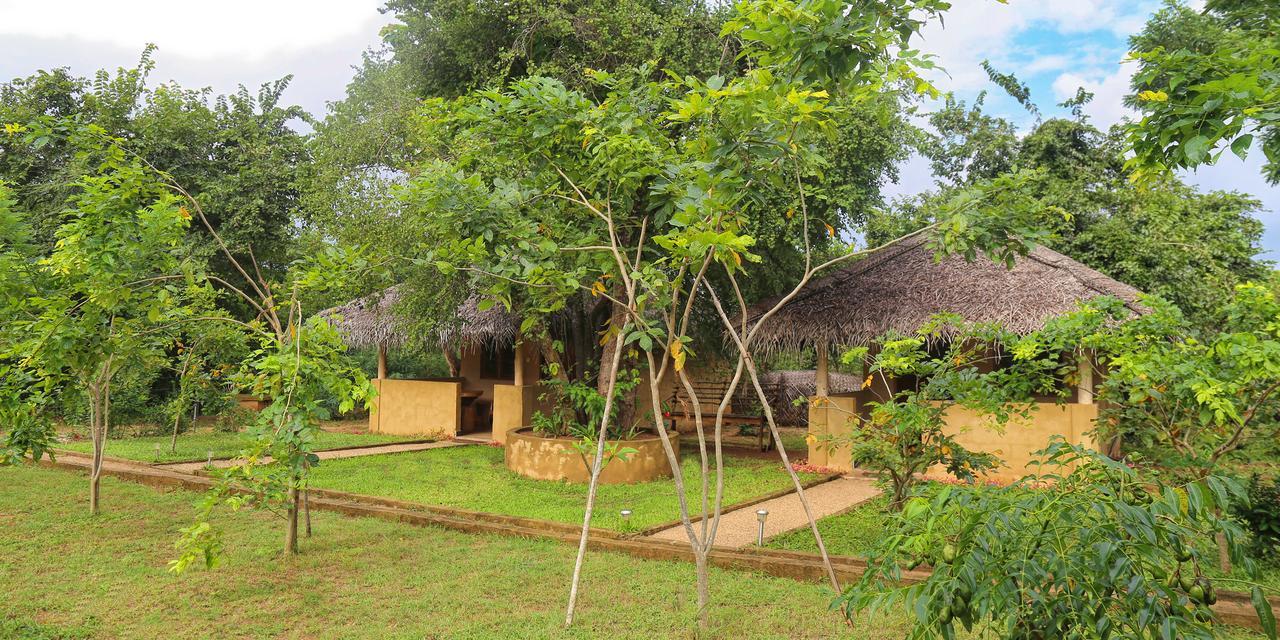 Hotel Niyagala Lodge Sigiriya Bagian luar foto