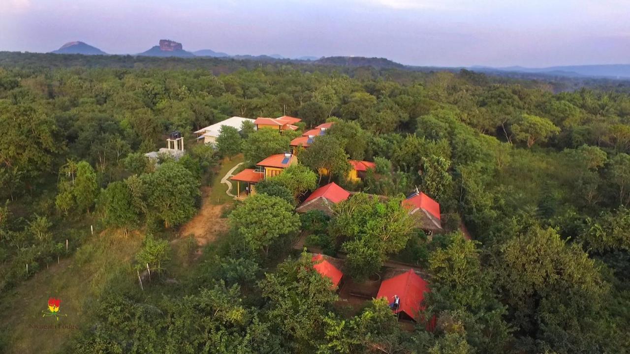 Hotel Niyagala Lodge Sigiriya Bagian luar foto
