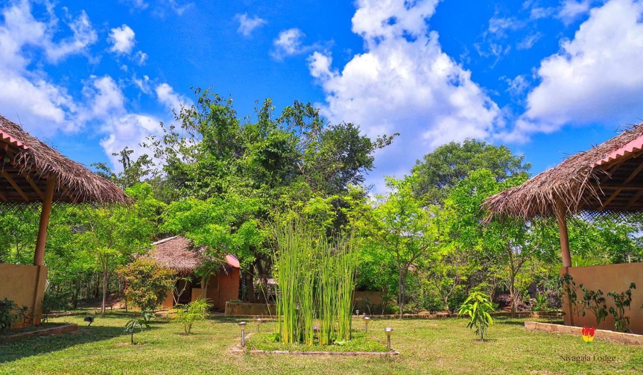 Hotel Niyagala Lodge Sigiriya Bagian luar foto