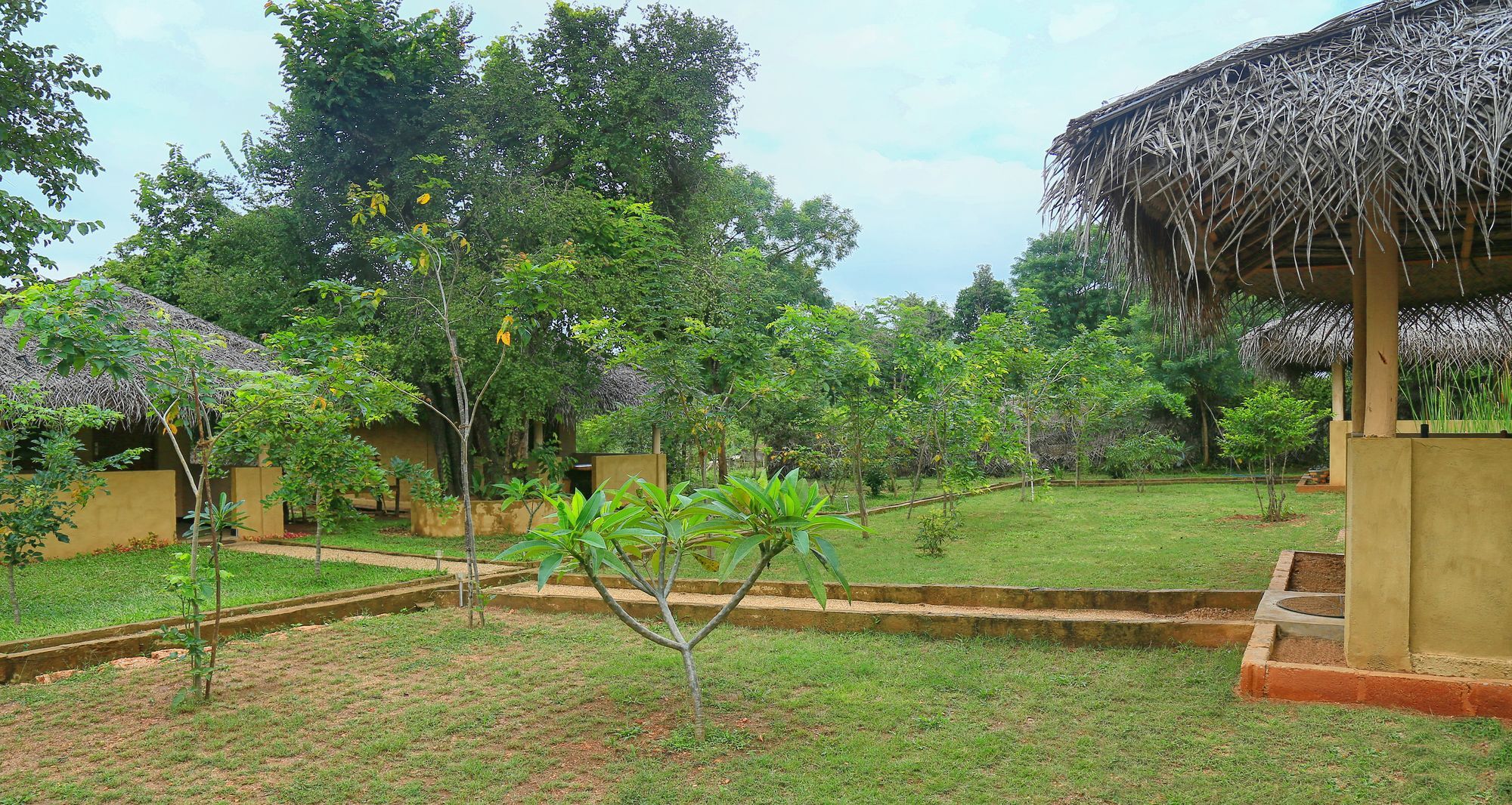 Hotel Niyagala Lodge Sigiriya Bagian luar foto