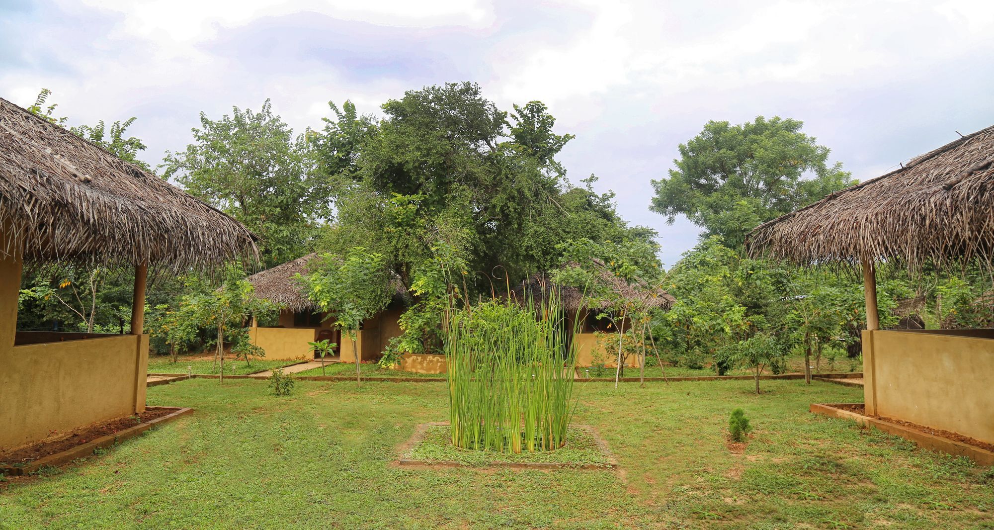 Hotel Niyagala Lodge Sigiriya Bagian luar foto